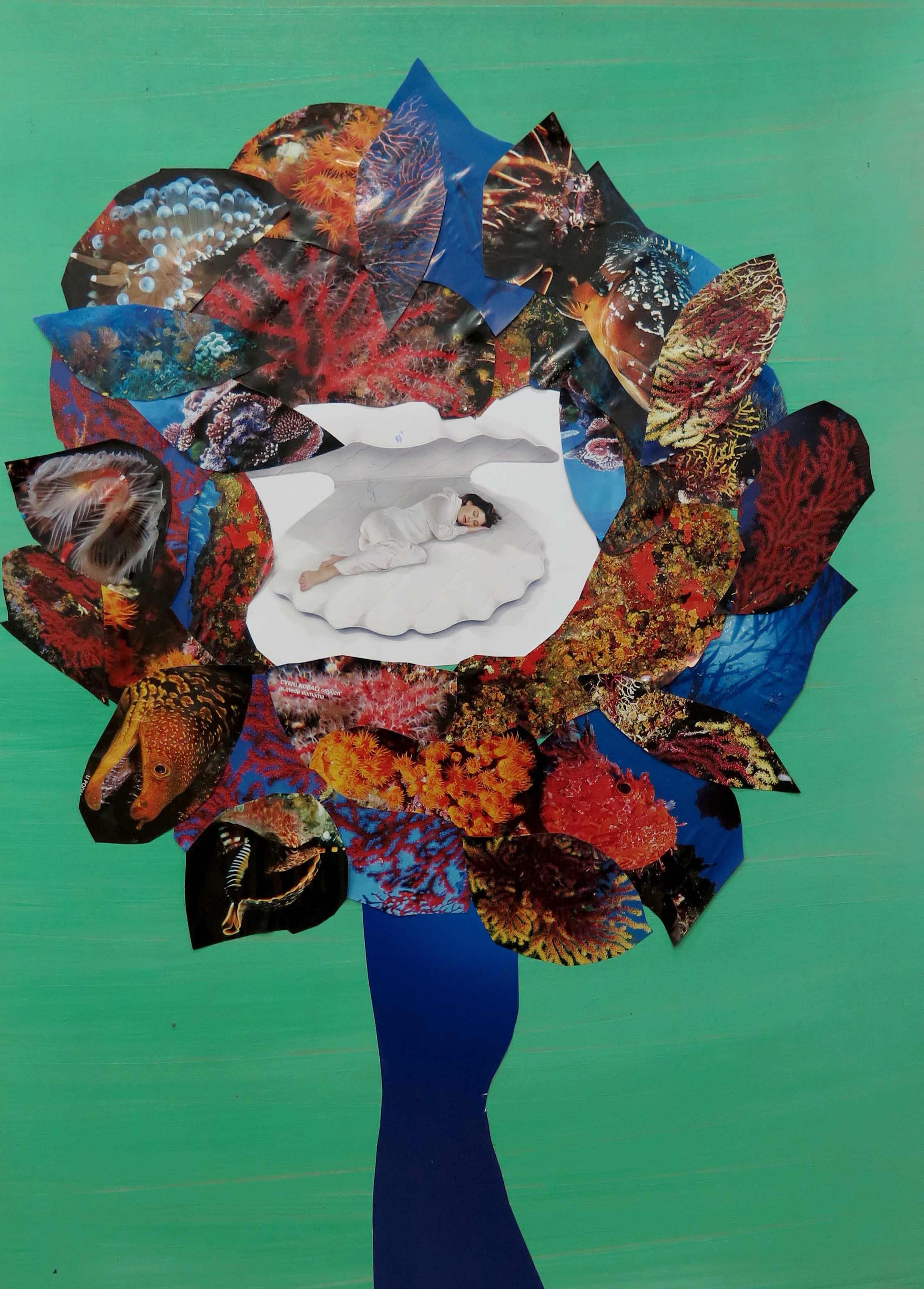 Mercedes Bratoš ZILIK 2017 14